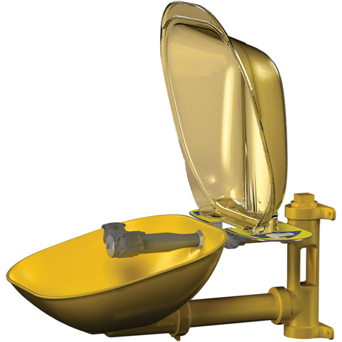 Halo Eyewash Stations, Wall-Mount Installation, Plastic Bowl Brunswick Fyr & Safety