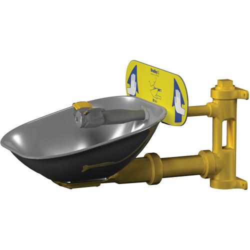 Poste de douche oculaire Halo, Installation Montage mural, Bol Acier inoxydable Brunswick Fyr & Safety