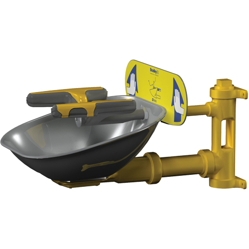 Halo Face/Eyewash Stations, Wall-Mount Installation, Stainless Steel Bowl Brunswick Fyr & Safety