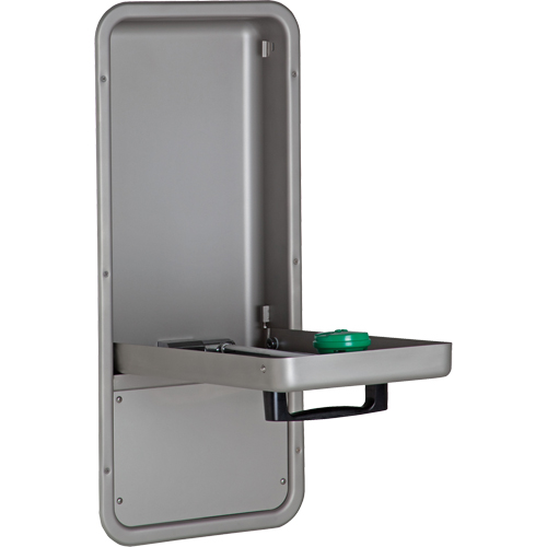 Eye/Face Wash Station, Wall-Mount Installation, Stainless Steel Bowl Brunswick Fyr & Safety
