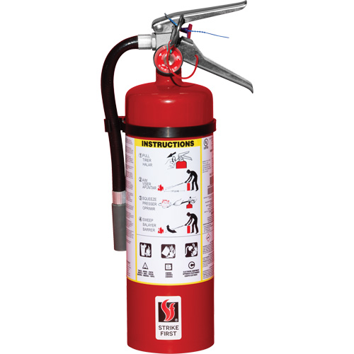 Extincteur d'incendie, ABC, Capacit&eacute; 5 lb Brunswick Fyr & Safety