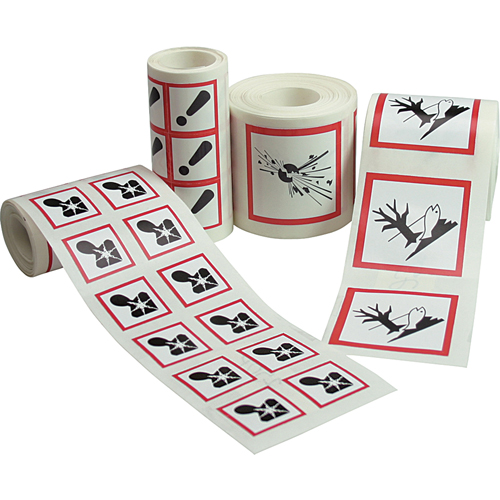GHS Pictogram Labels, Vinyl, Roll, 2" L x 2" W Brunswick Fyr & Safety