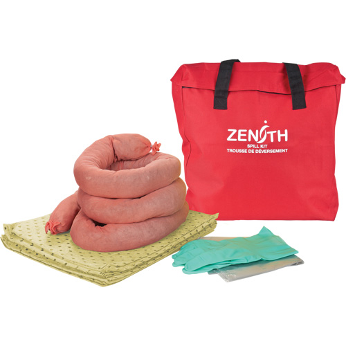 Trousse &eacute;conomique de lutte contre les d&eacute;versements, Mati&egrave;res dangereuses, Sac, Absorbance de 5 gal. US Brunswick Fyr & Safety