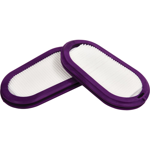 Filtres de remplacement, Filtre contre les particules, Filtre P100 Brunswick Fyr & Safety