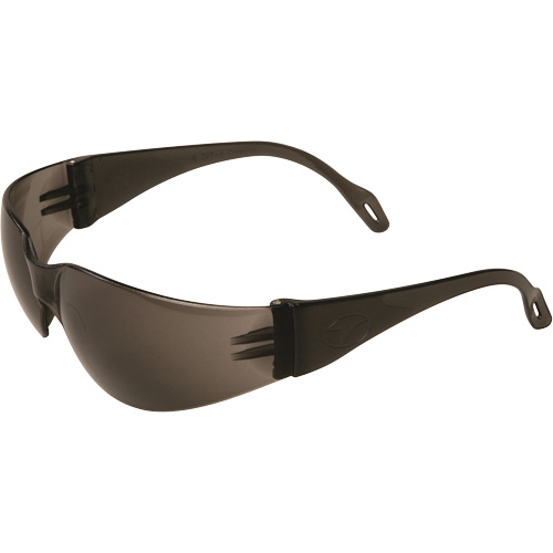 Veratti&reg; 2000 Safety Glasses, Grey/Smoke Lens, Anti-Fog, ANSI Z87+/Meets/Exceeds CSA Z94.3 Brunswick Fyr & Safety