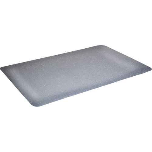Tapis antimicrobiens WD Foodmaster, Lisse, 3' x 4' x 9/16", Gris, Nitrile/Caoutchouc Brunswick Fyr & Safety