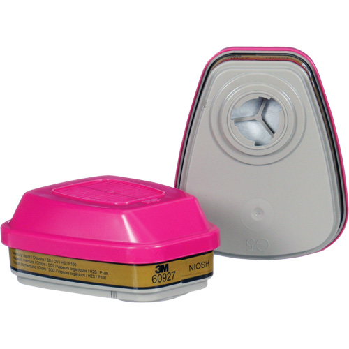 Cartouche, Combinaison cartouche et filtre contre les particules pour gaz/vapeurs, Gaz multiples/Vapeurs/P100 Brunswick Fyr & Safety