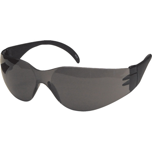 Lunettes de s&eacute;curit&eacute; CeeTec, Lentille Gris, Anti-&eacute;gratignures, R&eacute;pond ou surpasse la norme CSA Z94.3 Brunswick Fyr & Safety