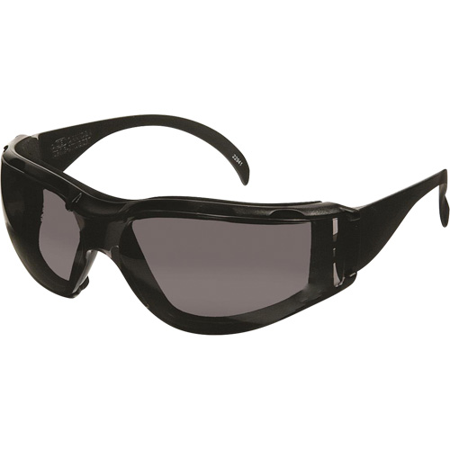 CeeTec DX Safety Glasses, Grey Lens, Anti-Fog/Anti-Scratch, Meets/Exceeds CSA Z94.3 Brunswick Fyr & Safety