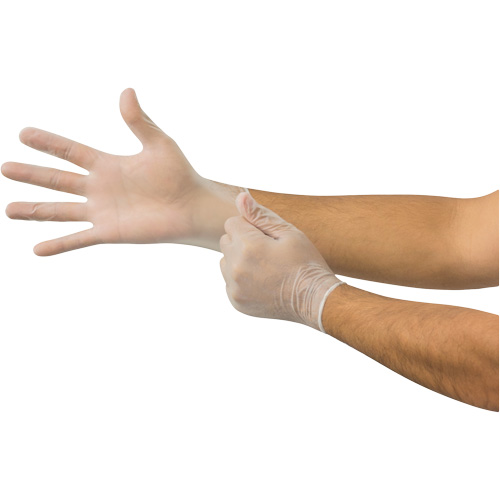 MICROFLEX Derma Free DF-850 Disposable Gloves, 6.5/7/Small, Vinyl, 3.1-mil/3.5-mil, Powder-Free, Clear, Class 2 Brunswick Fyr & Safety