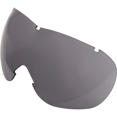 Lentille de rechange pour les lunettes de s&eacute;curit&eacute; &agrave; coques Uvex Sub-Zero, Antibu&eacute;e/anti-&eacute;gratignures, Gris, Uvex Sub-Zero Brunswick Fyr & Safety