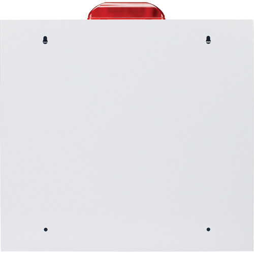 Standard Large AED Cabinet with Alarm & Strobe, Zoll AED Plus&reg;/Zoll AED 3/Cardio-Science/Physio-Control For, Non-Medical Brunswick Fyr & Safety
