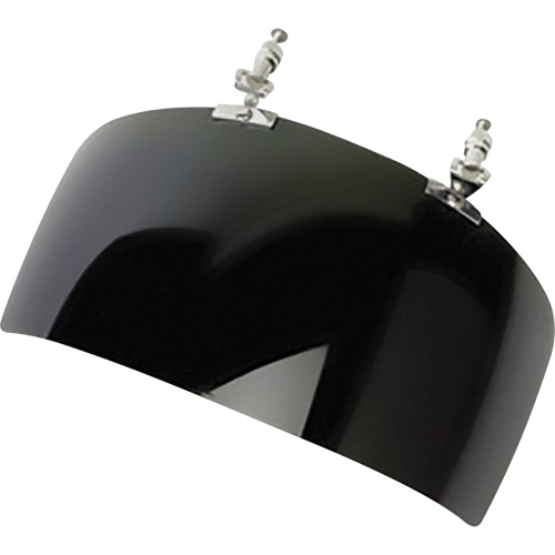 DP4 Series Faceshield Visor, IR 5.0 Tint Brunswick Fyr & Safety