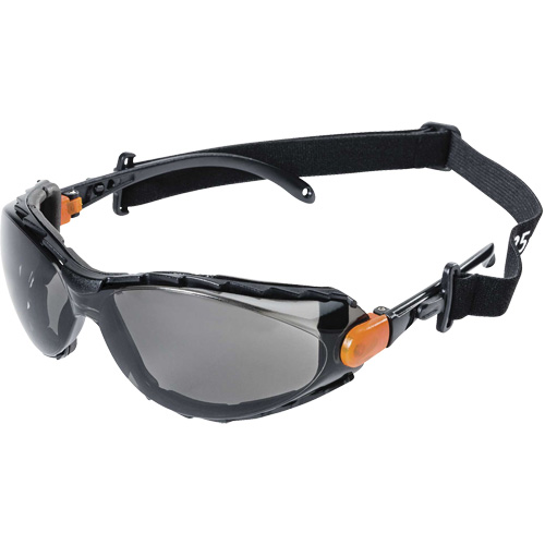 XPS502 Lunettes de s&eacute;curit&eacute; &eacute;tanches, Lentille Fum&eacute;e, Antibu&eacute;e/Anti-&eacute;gratignures Brunswick Fyr & Safety