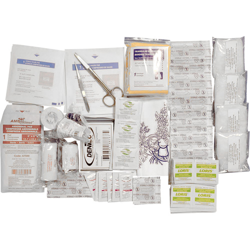 Trousse de premiers soins de base et recharge Shield, R&eacute;pond &agrave; la norme CSA Z1220-17 type 2 environnements &agrave; faible risque, Petit (2-25 travailleurs) Brunswick Fyr & Safety
