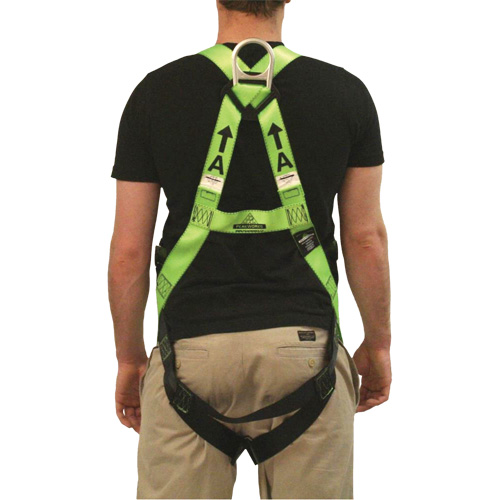 FBH-10000L Contractor Series Safety Harness, CSA Certified, Class AL, 400 lbs. Cap. Brunswick Fyr & Safety
