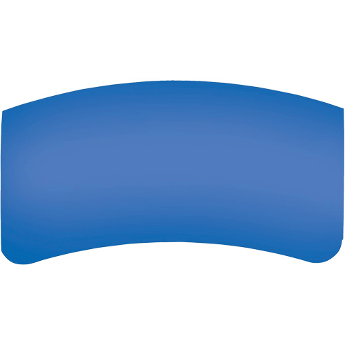 Bullard GenVX PETG Outer Lens Brunswick Fyr & Safety