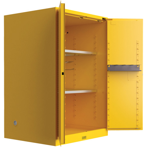 Armoire de s&eacute;curit&eacute; pour produits inflammables Utili-Guard+, 45 gal., 2 Porte(s), 43" La x 65" h x 22" p Brunswick Fyr & Safety