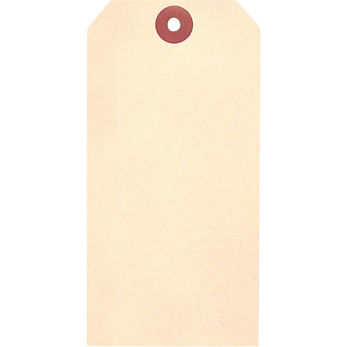 &eacute;tiquettes vierges en papier cartonn&eacute; de manille, Papier cartonn&eacute;, 1-5/8" la x 3-1/4" h Brunswick Fyr & Safety