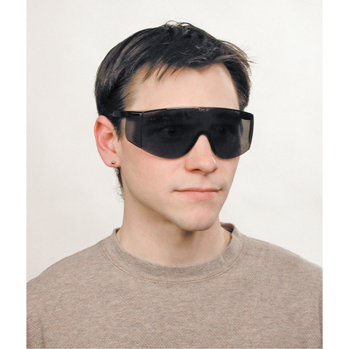 Lunettes de s&eacute;curit&eacute; Tacoma, Lentille Grise/fum&eacute;e, Anti-&eacute;gratignures, ANSI Z87+ Brunswick Fyr & Safety