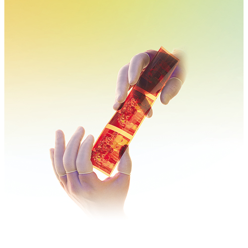 QRP&reg; Powder-Free Qualatex Latex Finger Cots Brunswick Fyr & Safety