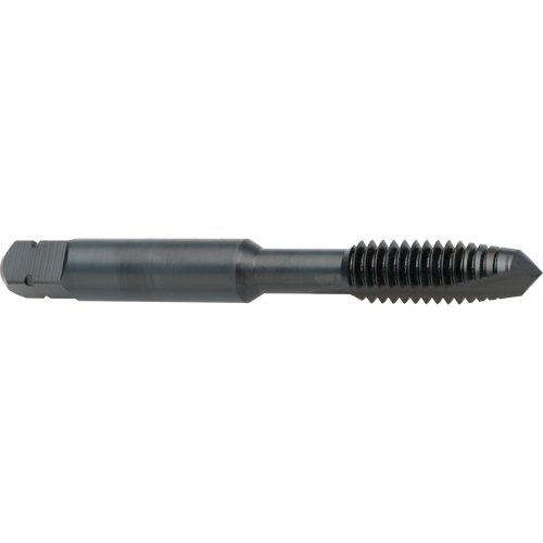 Taraud &agrave; entr&eacute;e h&eacute;licoidale, Acier rapide au cobalt, Filet de 8-32, 2-1/8" l Brunswick Fyr & Safety