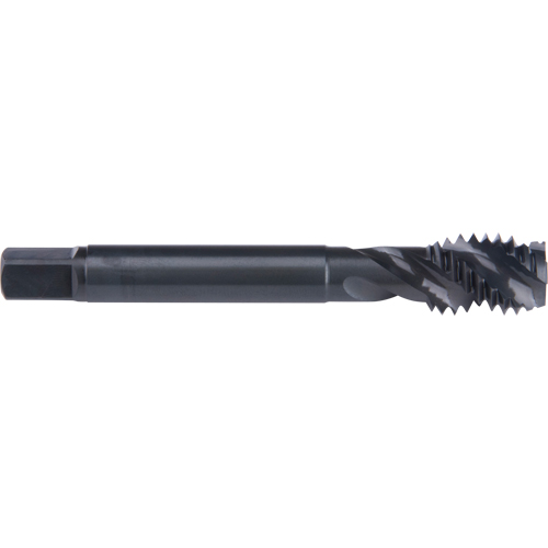 Taraud &agrave; cannelure en spirale 45°, Acier rapide au cobalt, Filet de 7/8"-9, 4-11/16" l Brunswick Fyr & Safety