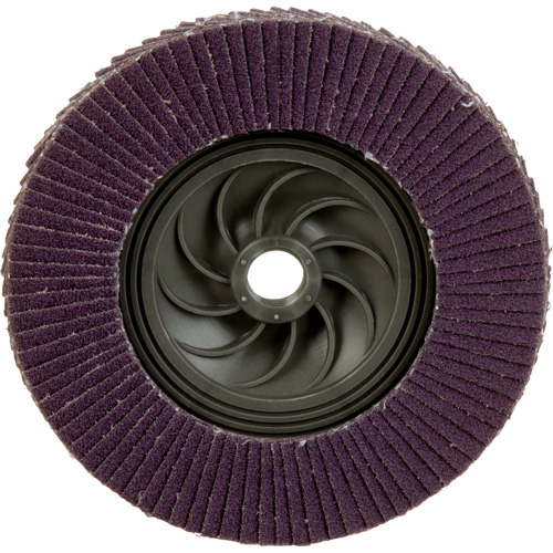 Disque &agrave; lamelles &agrave; changement rapide 769F, 5" x 5/8"-11, Type 27, Grain 80+, C&eacute;ramique Brunswick Fyr & Safety
