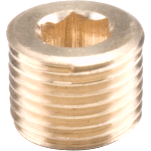 Pipe Plugs - Countersunk Hex, 1/8" Brunswick Fyr & Safety
