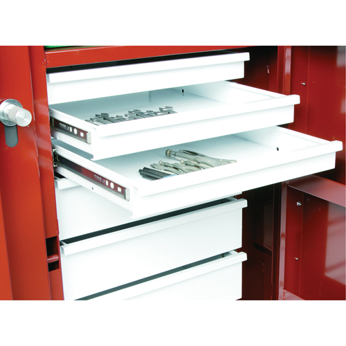 &eacute;tabli roulant, 49-7/8" la x 40-5/8" h x 26-7/8" p, Capacit&eacute; de 24,6 pi³ Brunswick Fyr & Safety