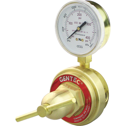 D&eacute;tendeur de conduit &agrave; usage moyen &agrave; intensif, Propane, Entr&eacute;e Orifice 1/4" NPT(F) Brunswick Fyr & Safety