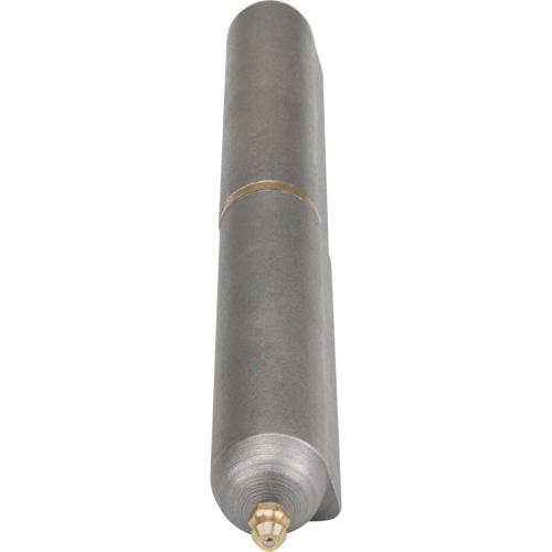 Charni&egrave;re &agrave; souder, 0,906" dia. x 7,874" lo, Acier doux a/goupille fixe en acier Brunswick Fyr & Safety