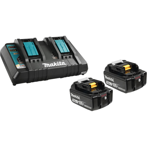 Ensemble de batterie au lithium-ion & chargeur &agrave; double port, 18 V, Lithium-ion Brunswick Fyr & Safety