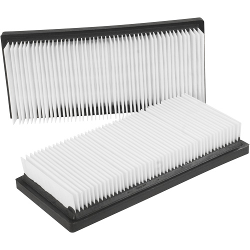 Filtres plats principaux, Cartouche, Pour 12 gal. US Brunswick Fyr & Safety