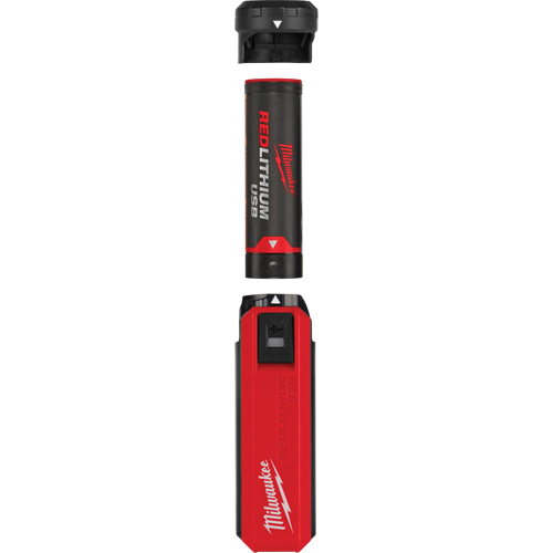 Trousse d'alimentation et de chargeur USB Redlithium, 4 V, Lithium-ion Brunswick Fyr & Safety