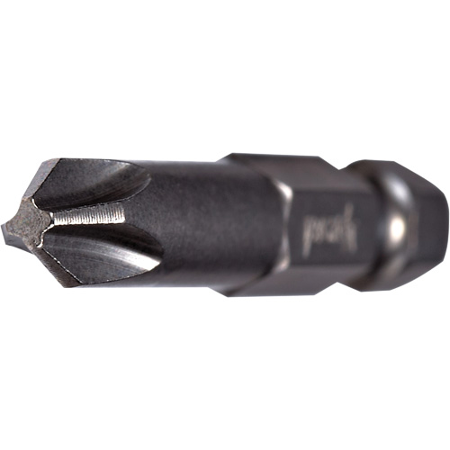 Embout pour outil &eacute;lectrique, Phillips, Embout #2, Prise 1/4", Longueur 2-3/4" Brunswick Fyr & Safety