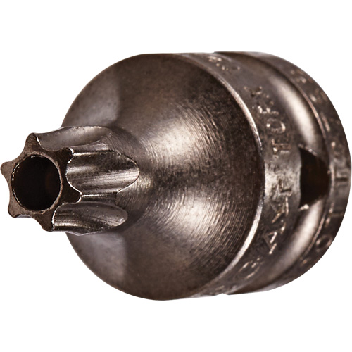 Socket Bit, Torx&reg; Tamper, 8 x 3/4" L, 1/4" Drive Brunswick Fyr & Safety