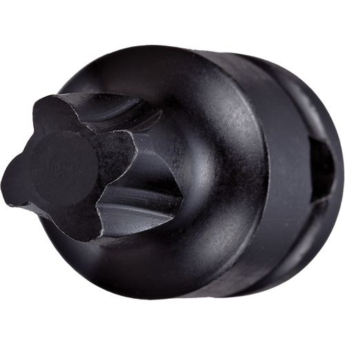 Socket Bit, Mortorq&reg; Super, 4 x 1-1/4" L, 3/8" Drive Brunswick Fyr & Safety
