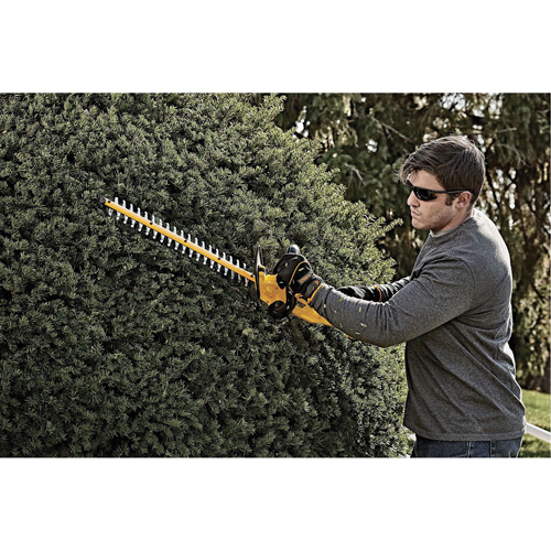 Taille-haie sans fil Max, 22", 20 V, &agrave; pile Brunswick Fyr & Safety