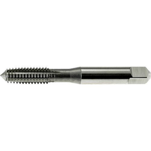 DRILLCO Thread Forming Tap, High Speed Steel, 1/4"-20 Thread Brunswick Fyr & Safety