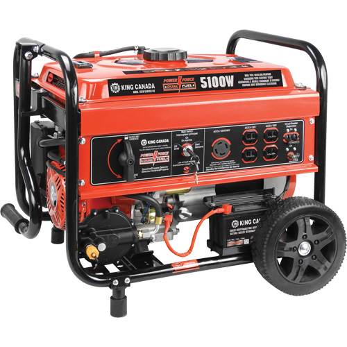 Gasoline/Propane Generator with Electric Start Brunswick Fyr & Safety