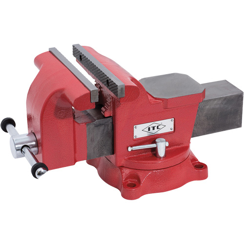 &eacute;tau de m&eacute;canicien, Largeur des m&acirc;choires 8", Profondeur de la gorge 3-1/2" Brunswick Fyr & Safety