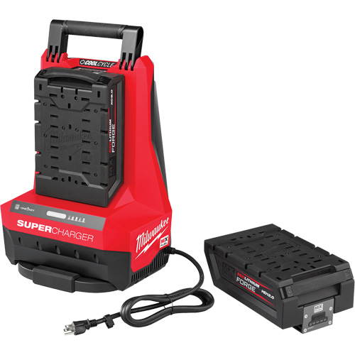 MX Fuel Super Charger, 120 V, Lithium-Ion Brunswick Fyr & Safety