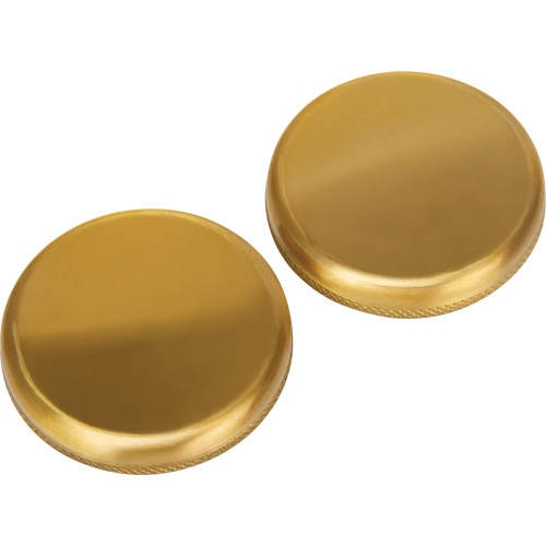 Brass End Caps Brunswick Fyr & Safety
