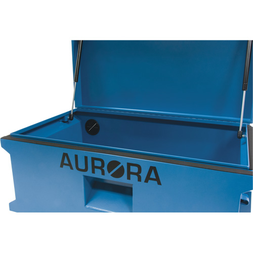 Coffre &agrave; outils de chantier, 33" x 20-3/10" x 18-3/10", Acier, Bleu Brunswick Fyr & Safety