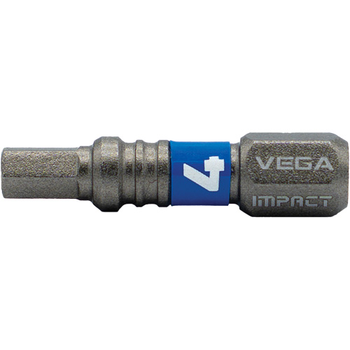 Embout Impactech, Hexagonale, 4 mm, Prise 1/4" Brunswick Fyr & Safety