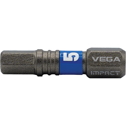 Impactech&reg; Insert Bit, Hex, 5 mm, 1/4" Drive Brunswick Fyr & Safety