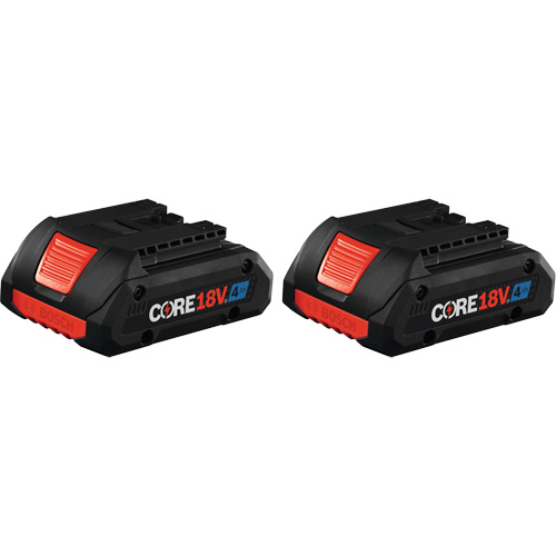 CORE18V&reg; Advanced Power Battery, Lithium-Ion, 18 V, 4 A Brunswick Fyr & Safety