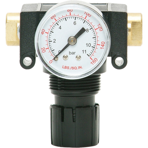 D&eacute;tendeur &agrave; piston en ac&eacute;tal MODULAIR 200, 1/4" NPT, PSI max. de 150 psi, Canalisation/Modulaire Brunswick Fyr & Safety