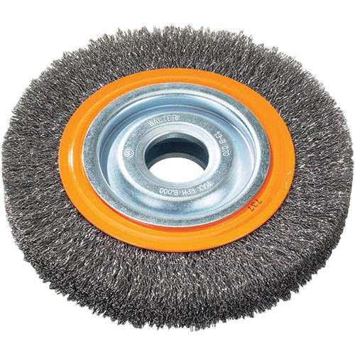 Wire Wheel Brush, 7" Dia., 0.118" Fill, 1-1/4" Arbor Brunswick Fyr & Safety